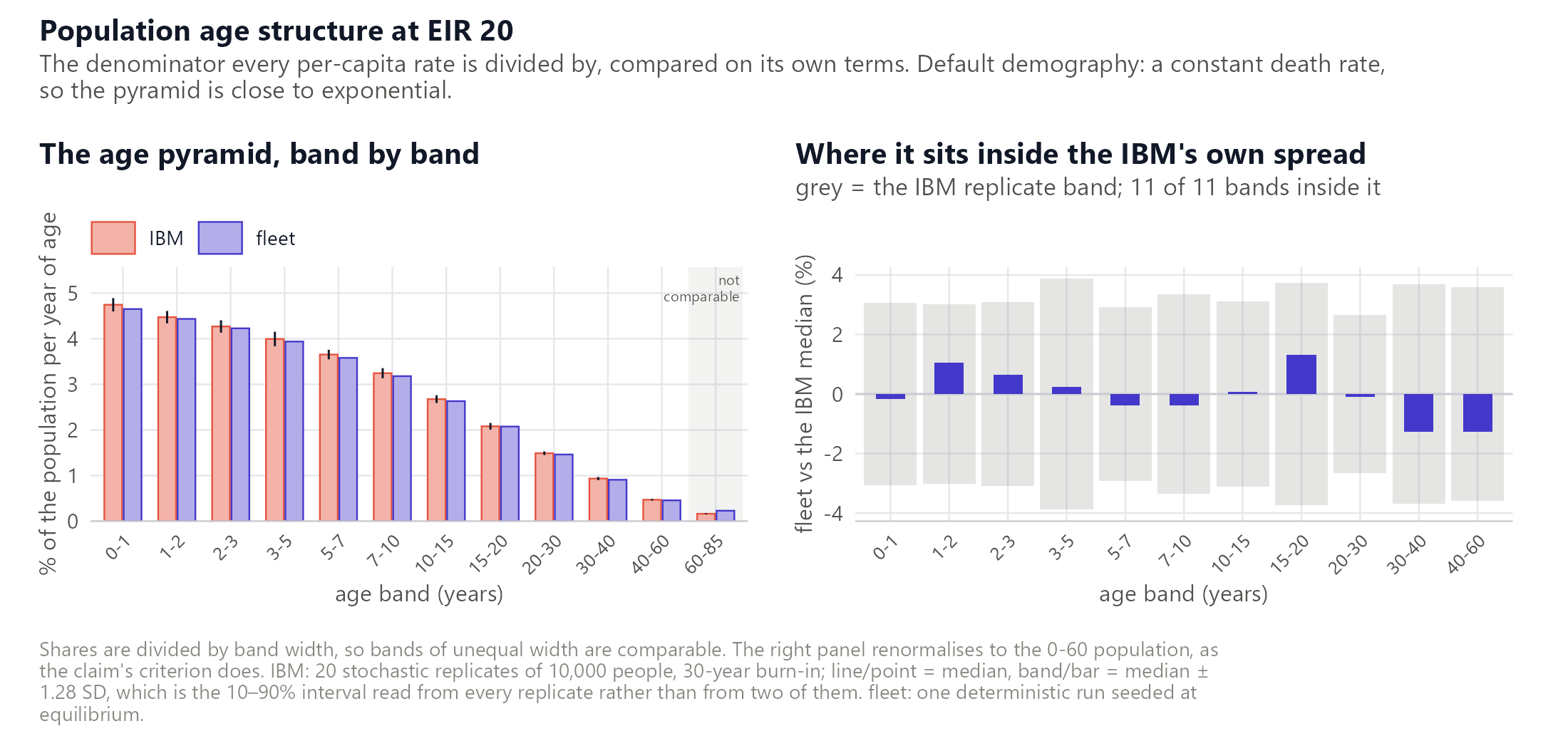 The population age structure matches the IBM's.